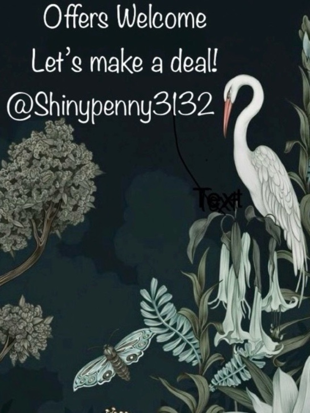 Reasonable OFFERS WELCOME 🪴